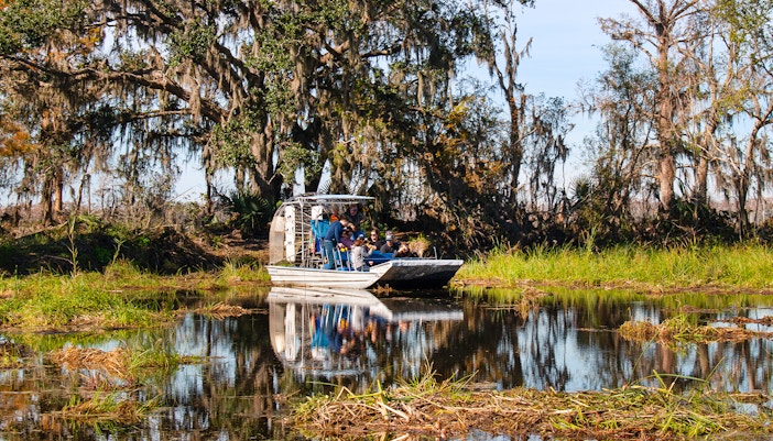 Airboat tour searching for alligators in New Orleans swamp.