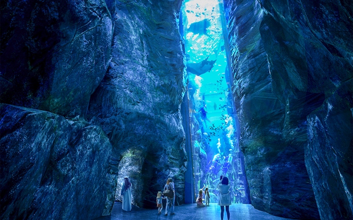 Visitors observing marine life in a large aquarium at Sea World Abu Dhabi.