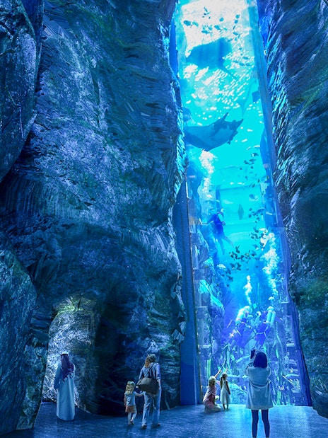 Visitors observing marine life in a large aquarium at Sea World Abu Dhabi.