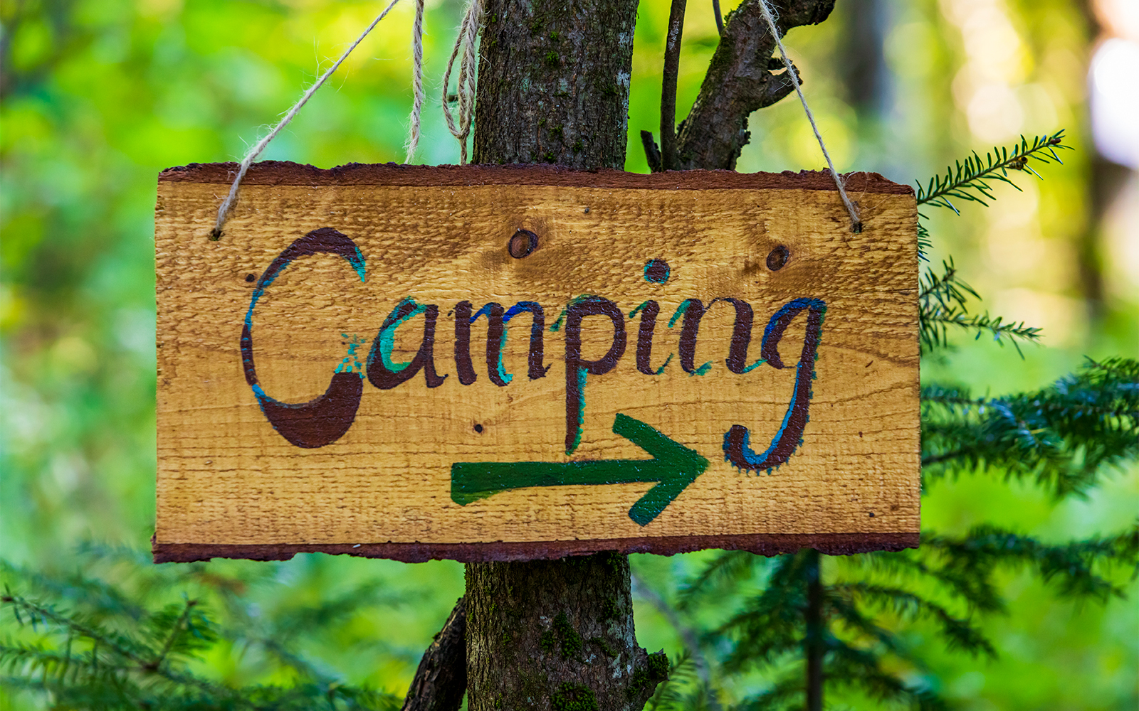 Milford Sound Cascade Creek campsite with tents and lush forest backdrop.