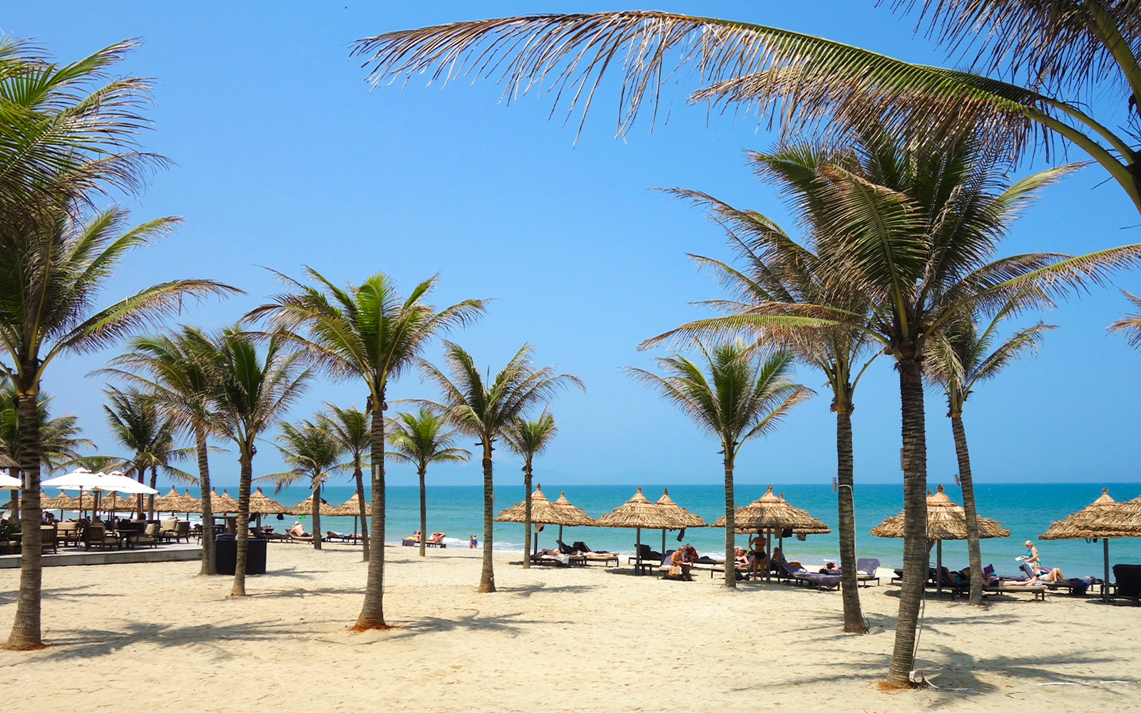 Tourists relaxing under coconut trees on An Bang Beach, Vietnam.