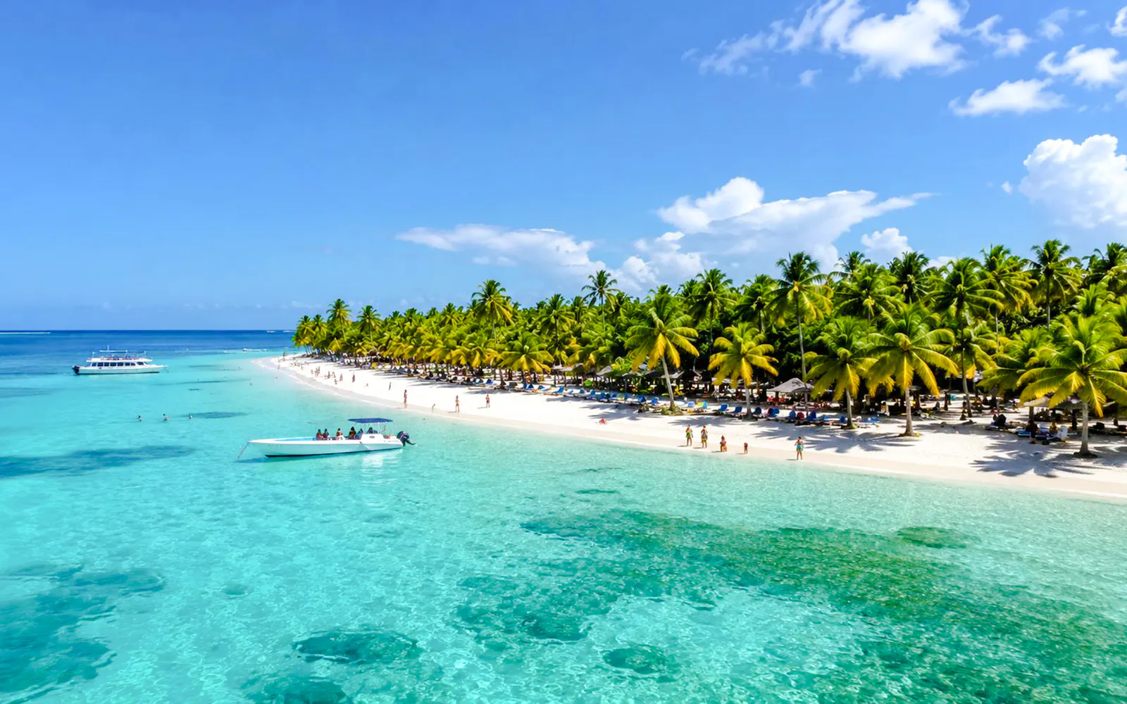 Tropical beach with palm trees and clear water on Saona Island, Dominican Republic.