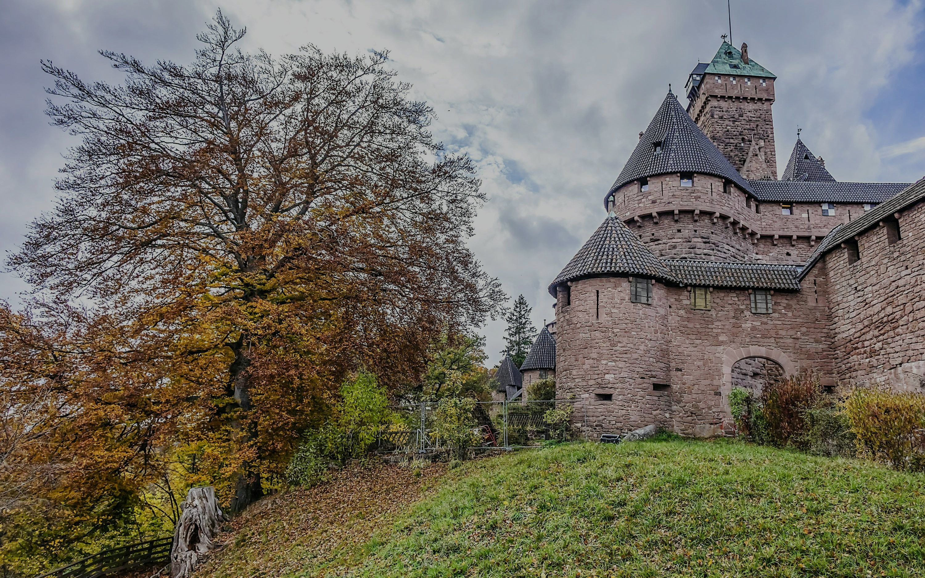 Haut-Koenigsbourg castle with autumn trees in Alsace, France.