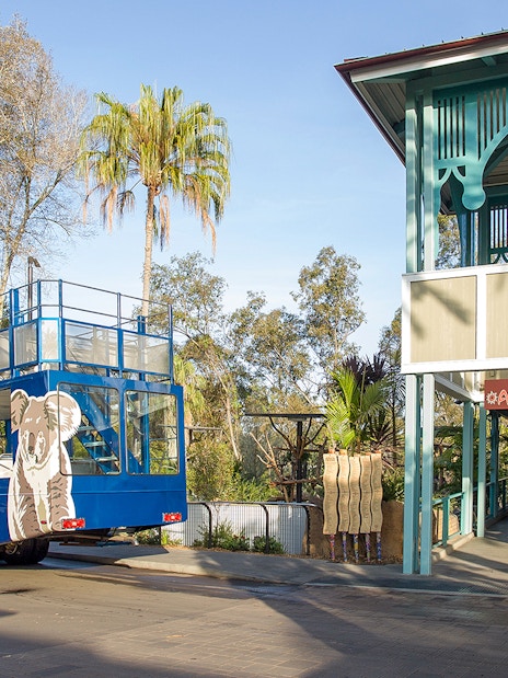 San Diego Zoo tour bus near Conrad Prebys Australian Outback entrance.