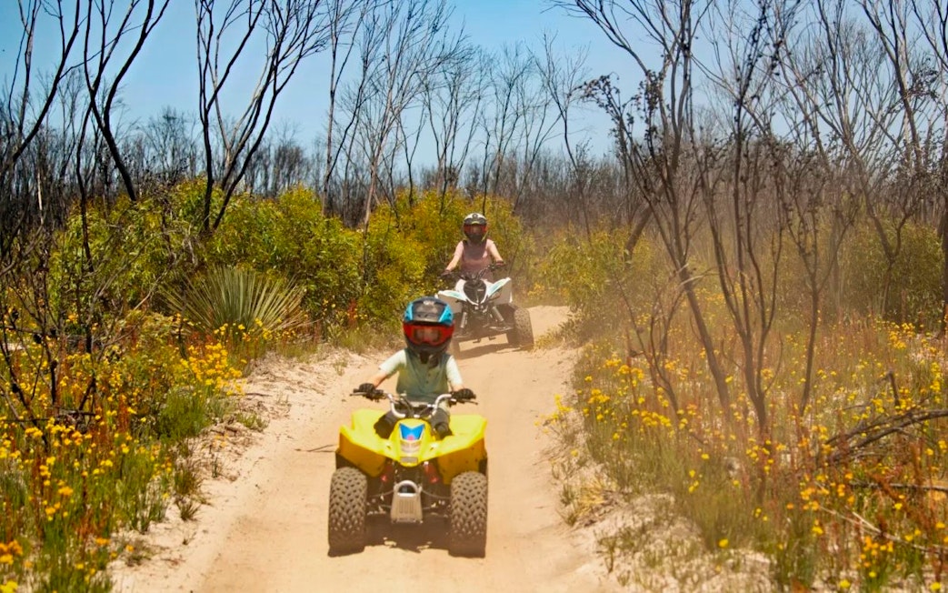 Group riding ATVs through a sandy trail at Vivonne Bay, Kangaroo Island.