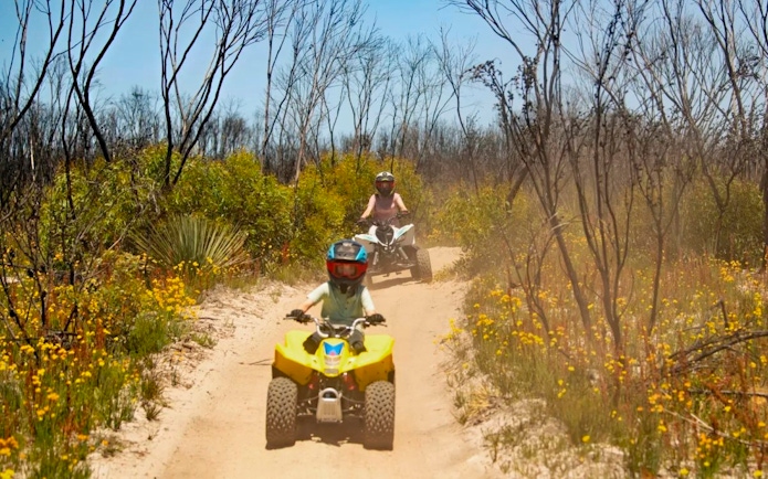 Group riding ATVs through a sandy trail at Vivonne Bay, Kangaroo Island.