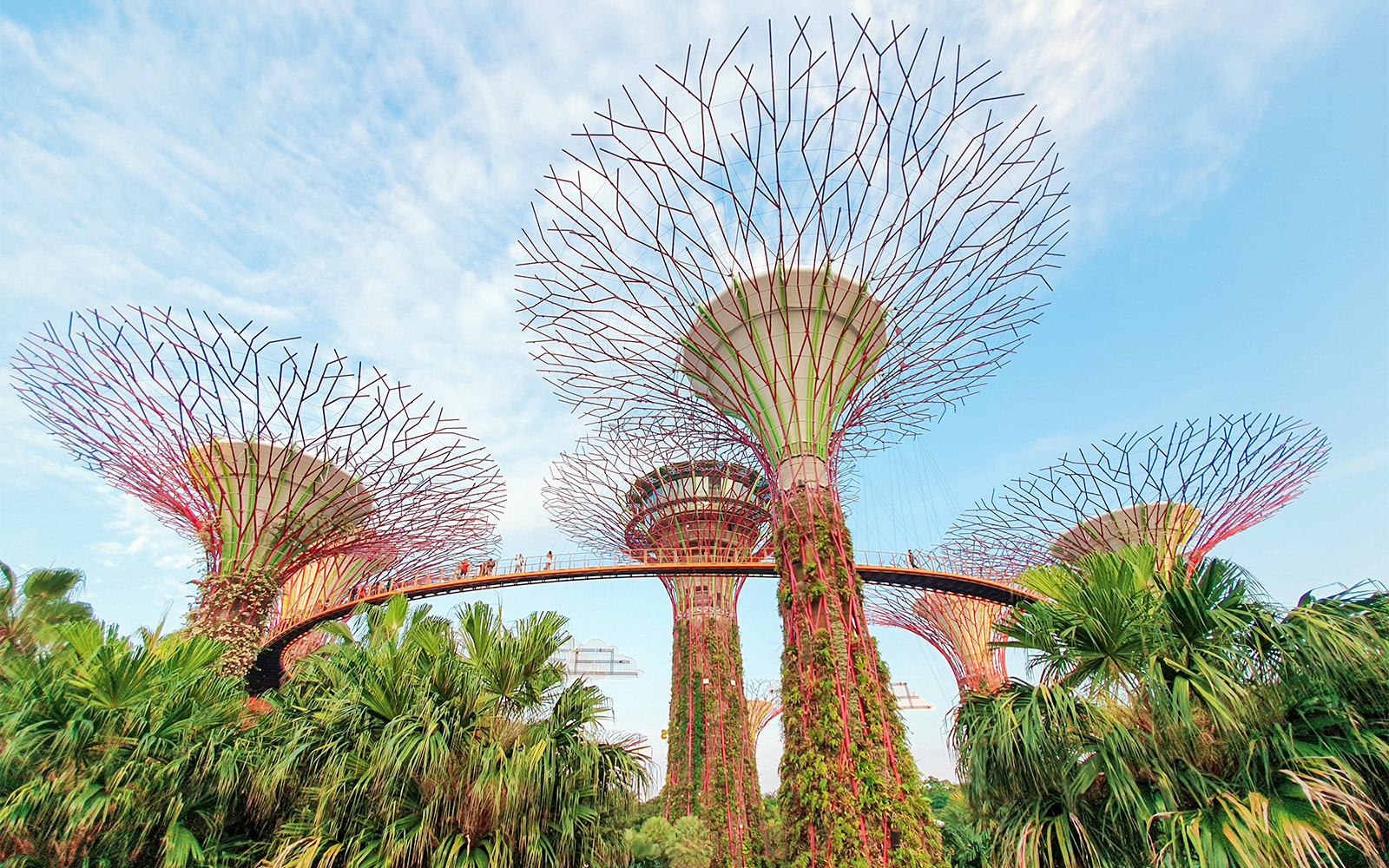 Floral Fantasy Singapore