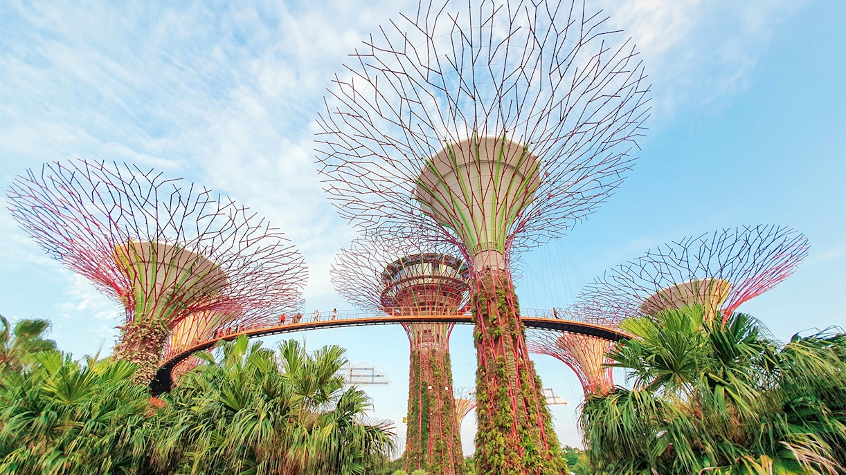 Floral Fantasy Singapore