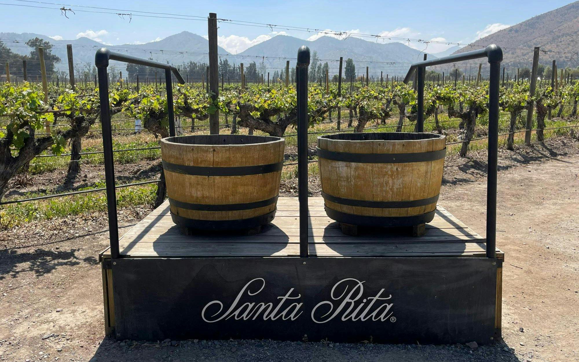 Viña Santa Rita