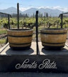 Viña Santa Rita