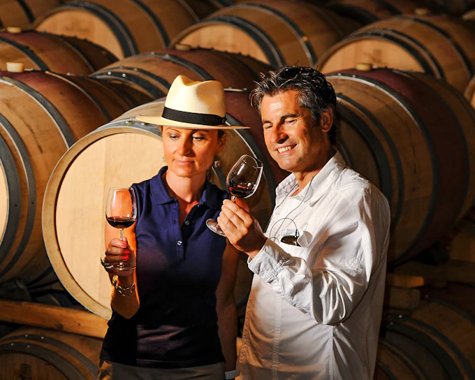 From Dubrovnik: Pelješac Wine Region Private Tour with Winery Visits