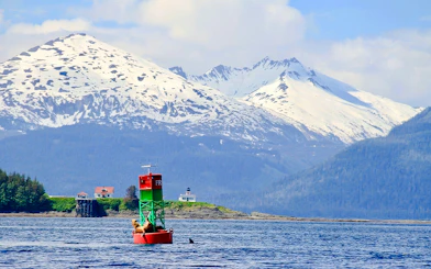 Kayaking near a buoy with sea lions and a whale fin, snowy mountains in Juneau.