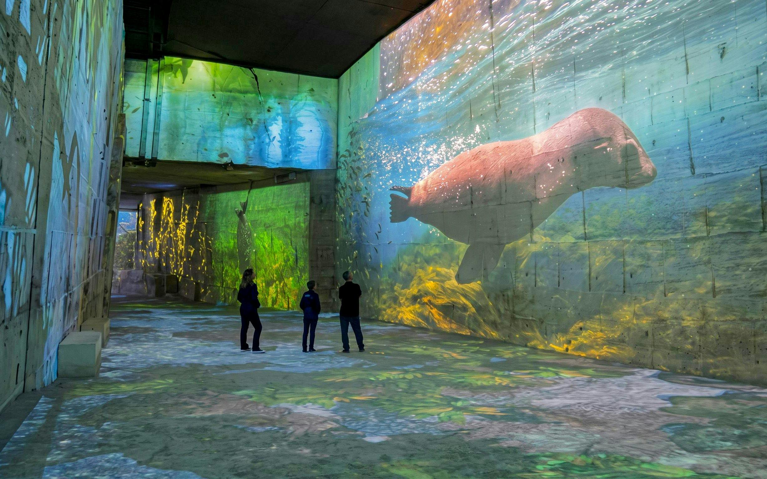 Ocean-themed projections at Carrières des Lumières immersive exhibit in France.