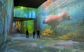 Ocean-themed projections at Carrières des Lumières immersive exhibit in France.