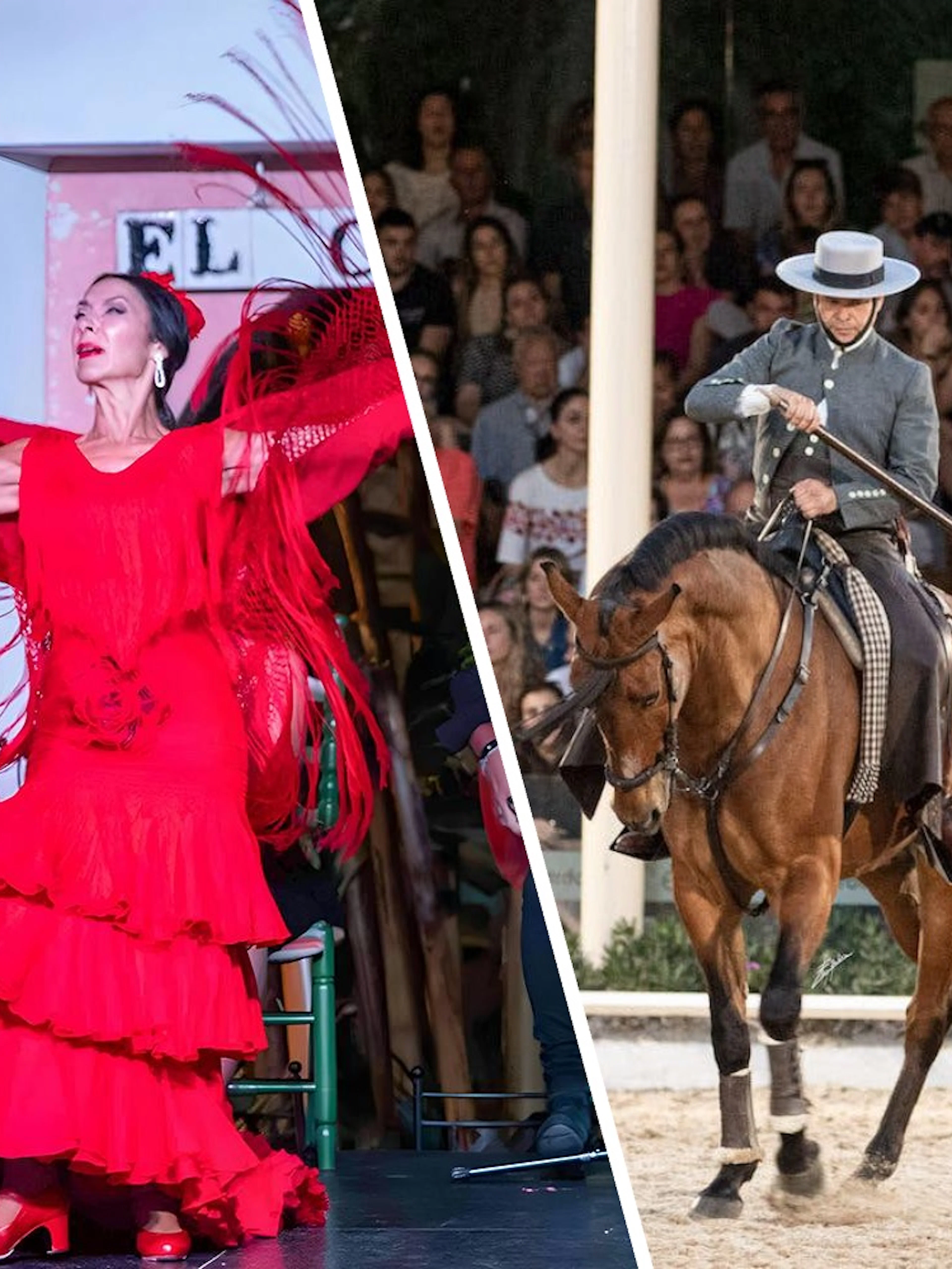 Flamenco dancer in red dress and equestrian performer in traditional attire at a show.