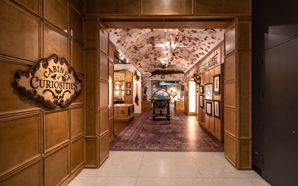 Cabinet of Curiosities exhibit at Houston Museum of Natural Science.