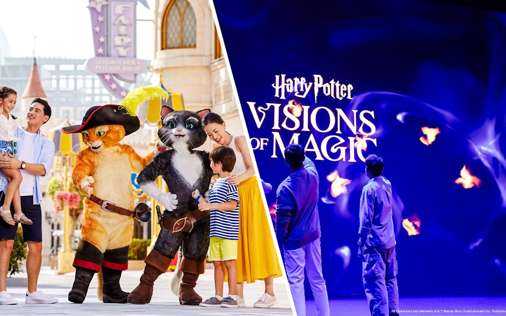 Family meeting characters at theme park and exploring Harry Potter Visions of Magic show.