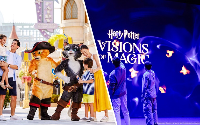 Family meeting characters at theme park and exploring Harry Potter Visions of Magic show.