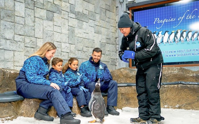 Guests interacting with a penguin at Ski Dubai's Penguin Encounter.