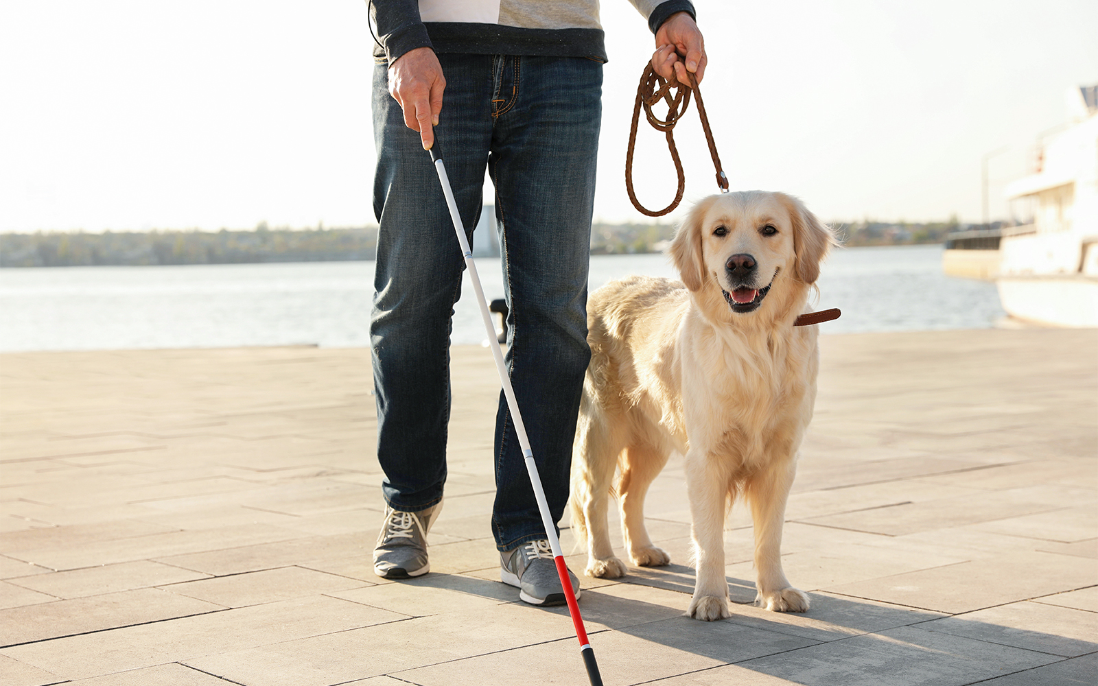 Man walking with guide dog by the waterfront near Poema del Mar.