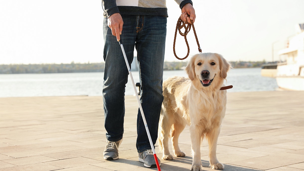 Man walking with guide dog by the waterfront near Poema del Mar.