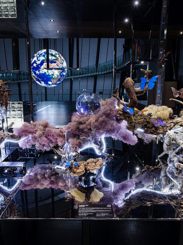 Interactive exhibit with Earth model and nature elements at National Museum of Emerging Science and Innovation.