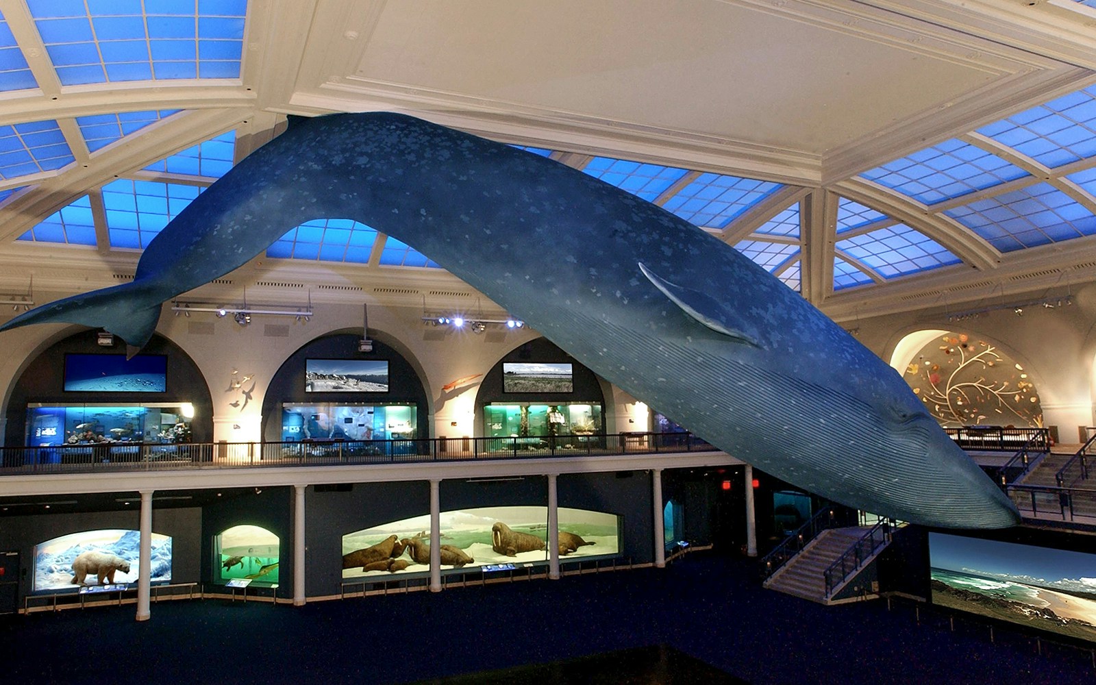 Tourists exploring exhibits inside the American Museum of Natural History, New York City.