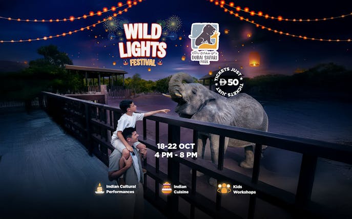 Diwali celebration poster featuring an elephant encounter at Dubai Safari Park's Wild Lights Festival.