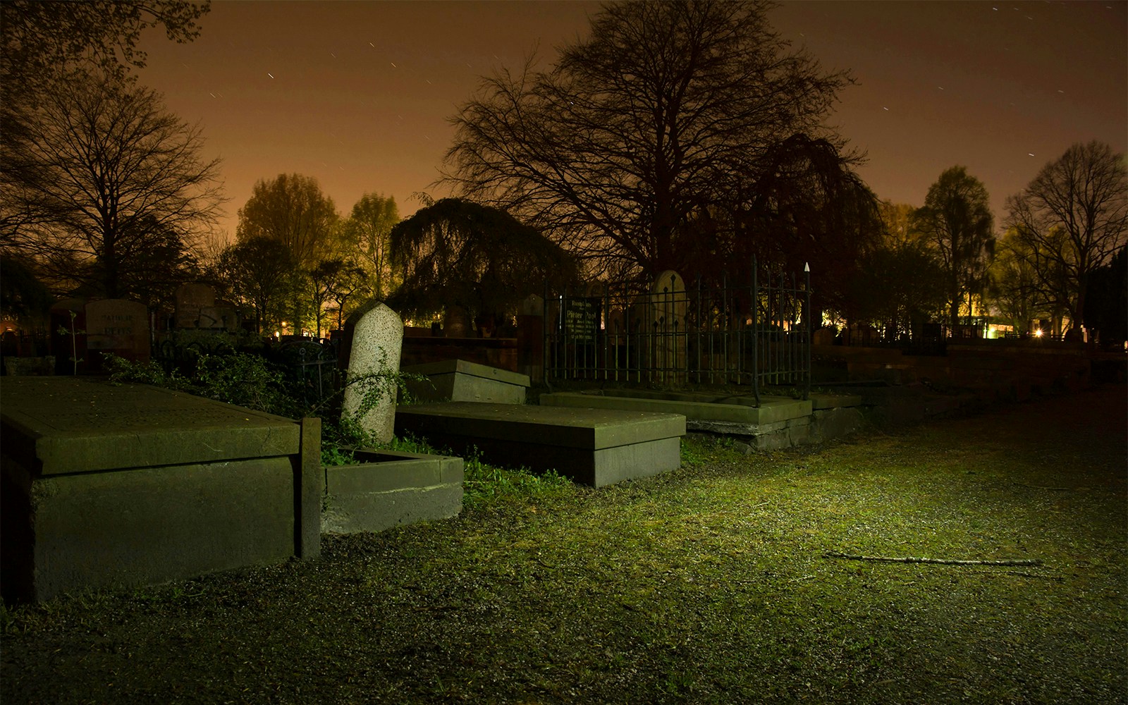 Gravestones and trees in a dimly lit cemetery at night.
