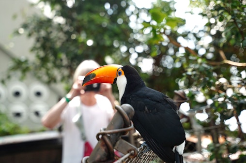 Billets pour Green Planet Dubai