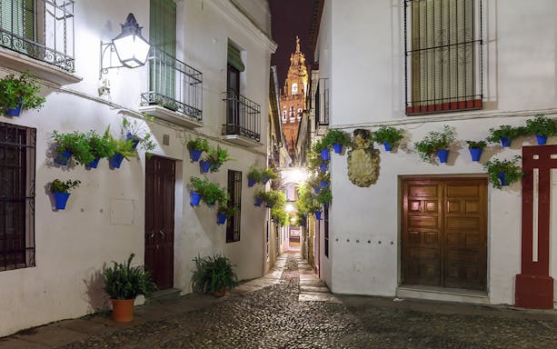 Narrow cobblestone street with blue flower pots and illuminated tower in Córdoba at night.
