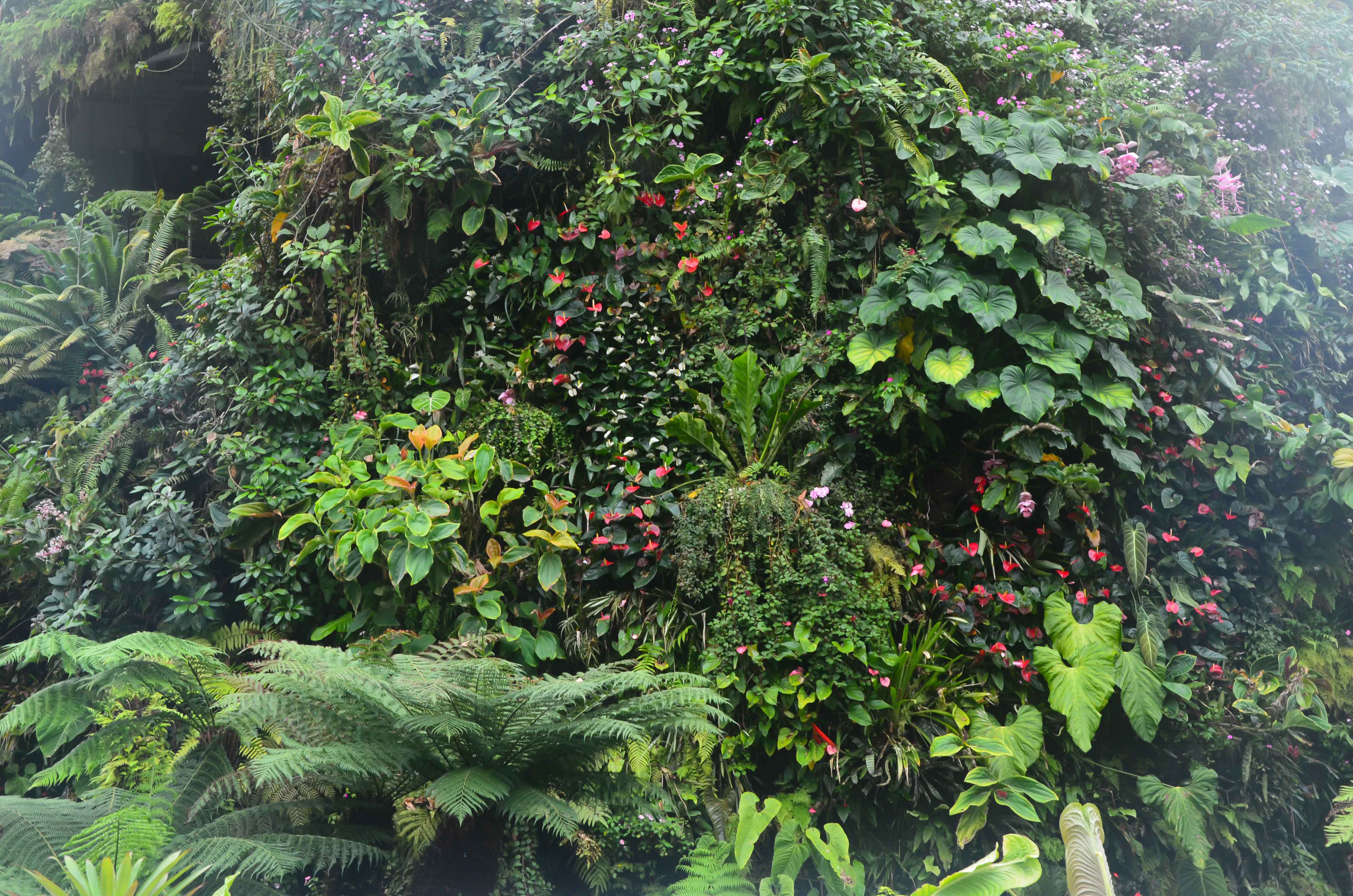 California Academy of Sciences