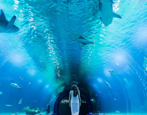 Oceanografic Valencia aquarium exterior with visitors exploring the architecture.