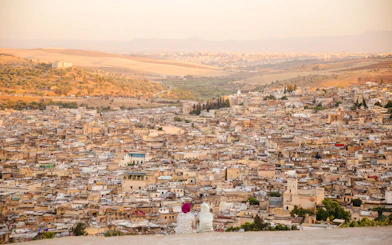 Fez Medina and Royal Palace Walking Tour