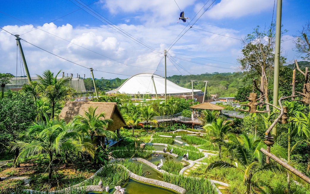 Bird habitat with lush greenery and water features at Bird Paradise, Singapore.
