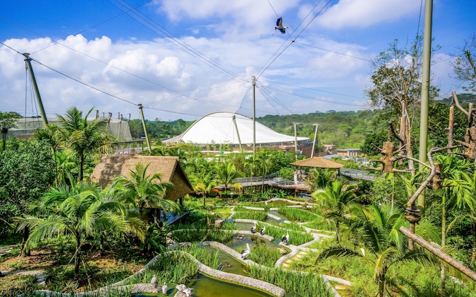 Bird habitat with lush greenery and water features at Bird Paradise, Singapore.