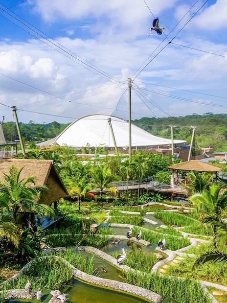Bird habitat with lush greenery and water features at Bird Paradise, Singapore.