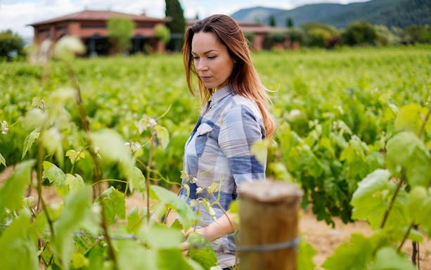 Young woman walking through a lush vineyard with a rustic building in the background.