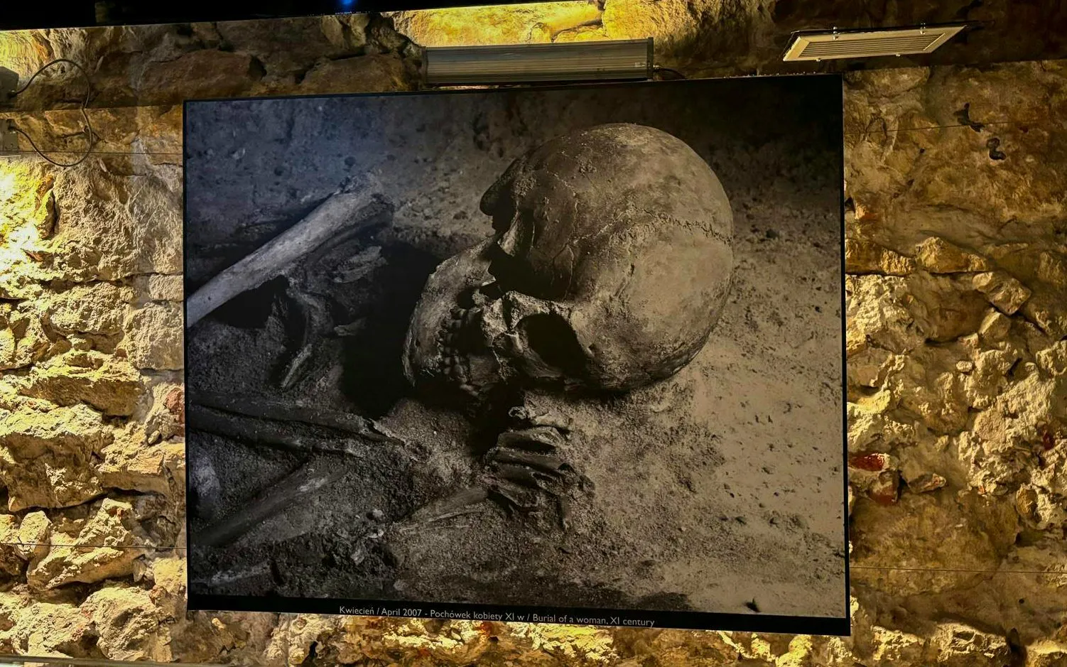 Burial exhibit at Rynek Underground Museum, Krakow, featuring ancient human remains.