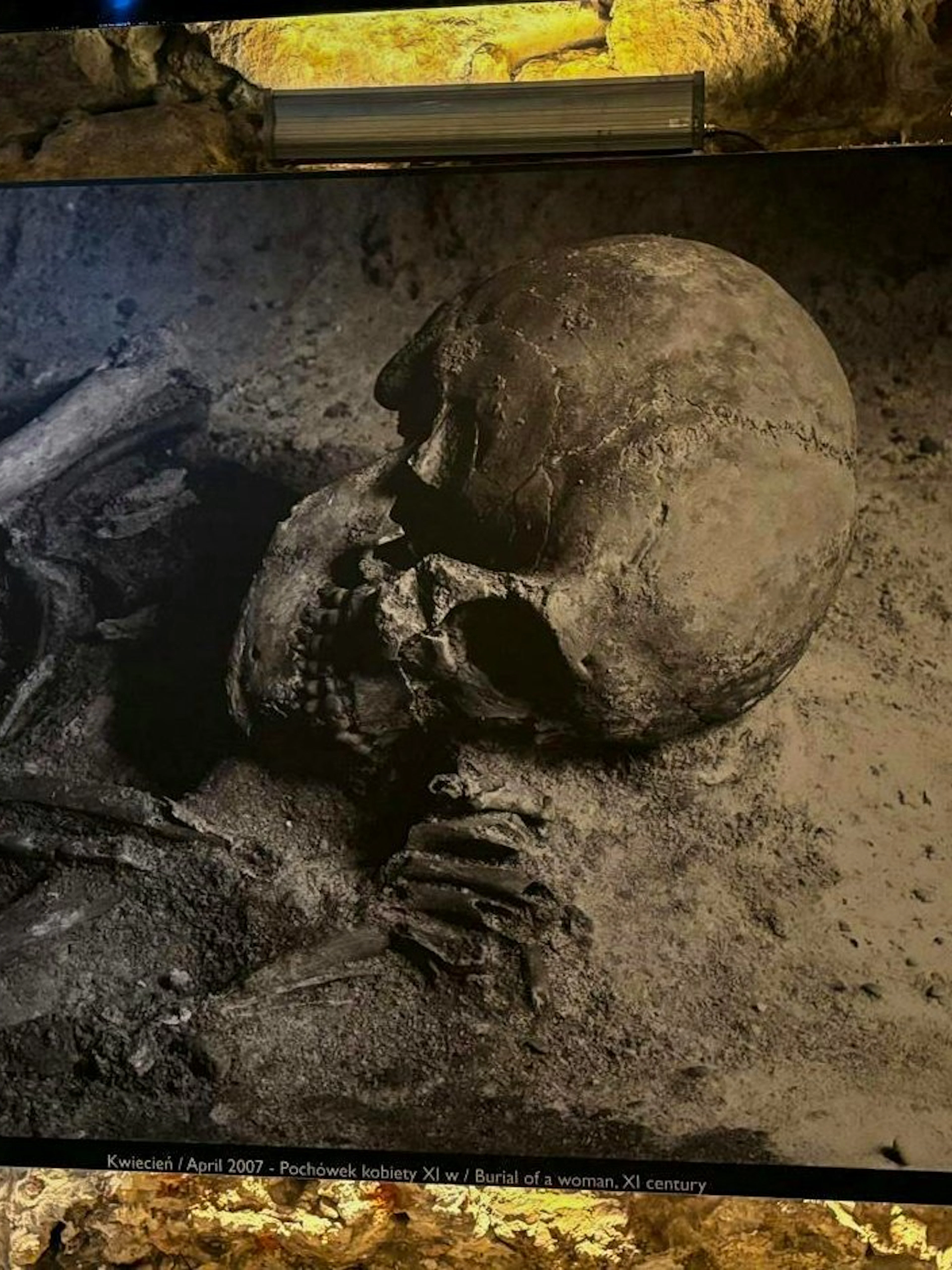 Burial exhibit at Rynek Underground Museum, Krakow, featuring ancient human remains.