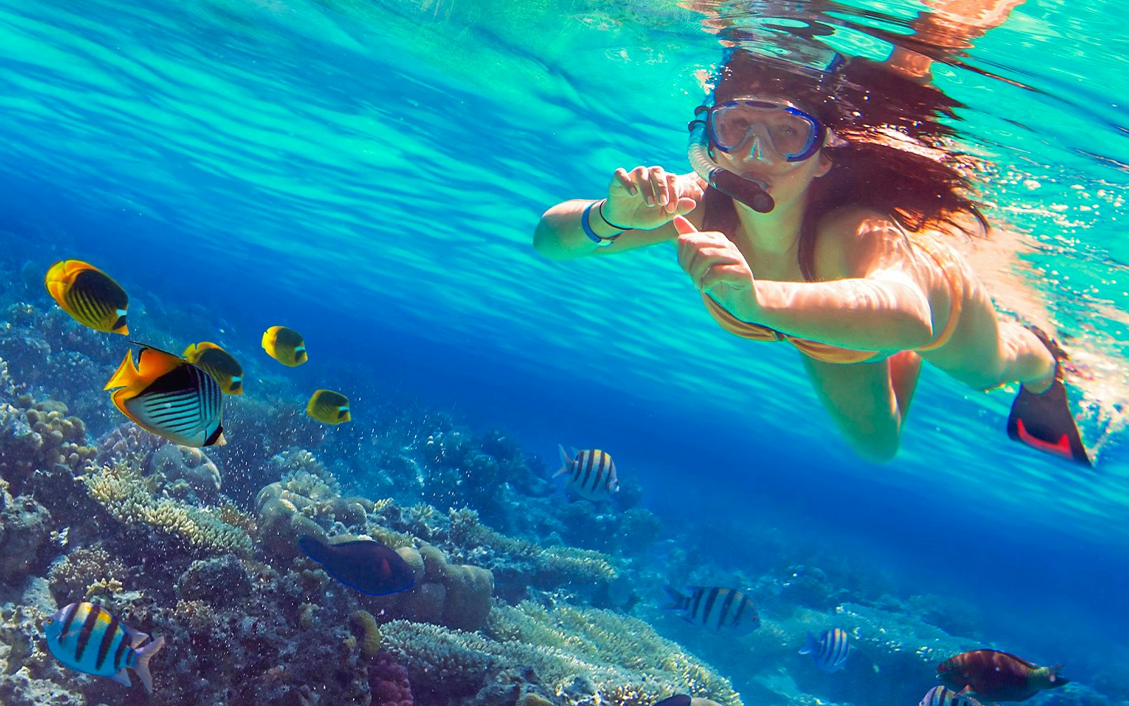 Snorkeling at Khai Islands