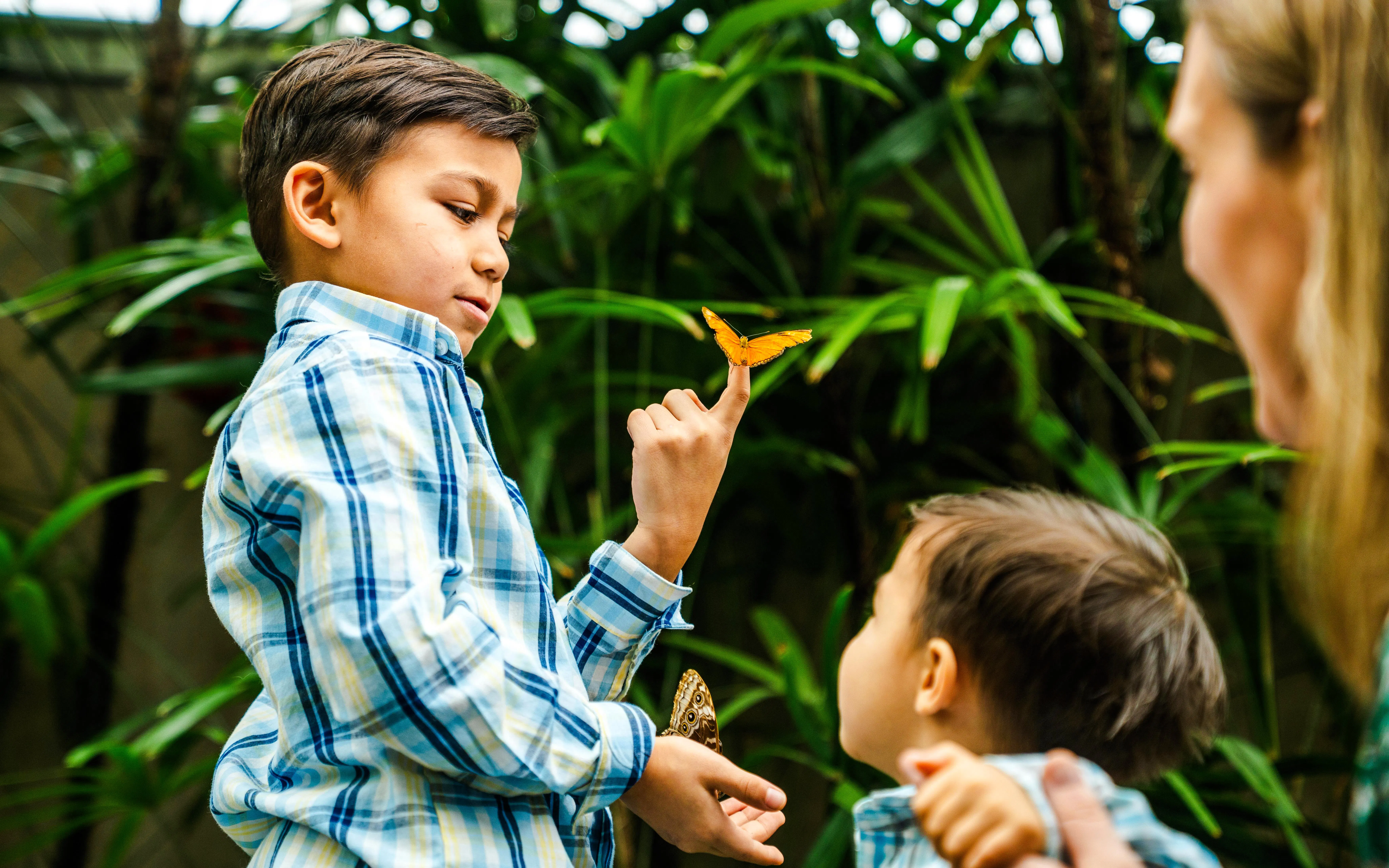 Children observing butterflies at Niagara Falls Butterfly Conservatory, Canada.