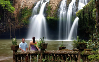 paronella park cassowary coast guided day and night tour-8