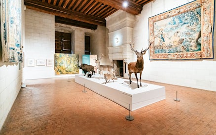 Taxidermy animal display and tapestries in Chambord Castle exhibit hall.