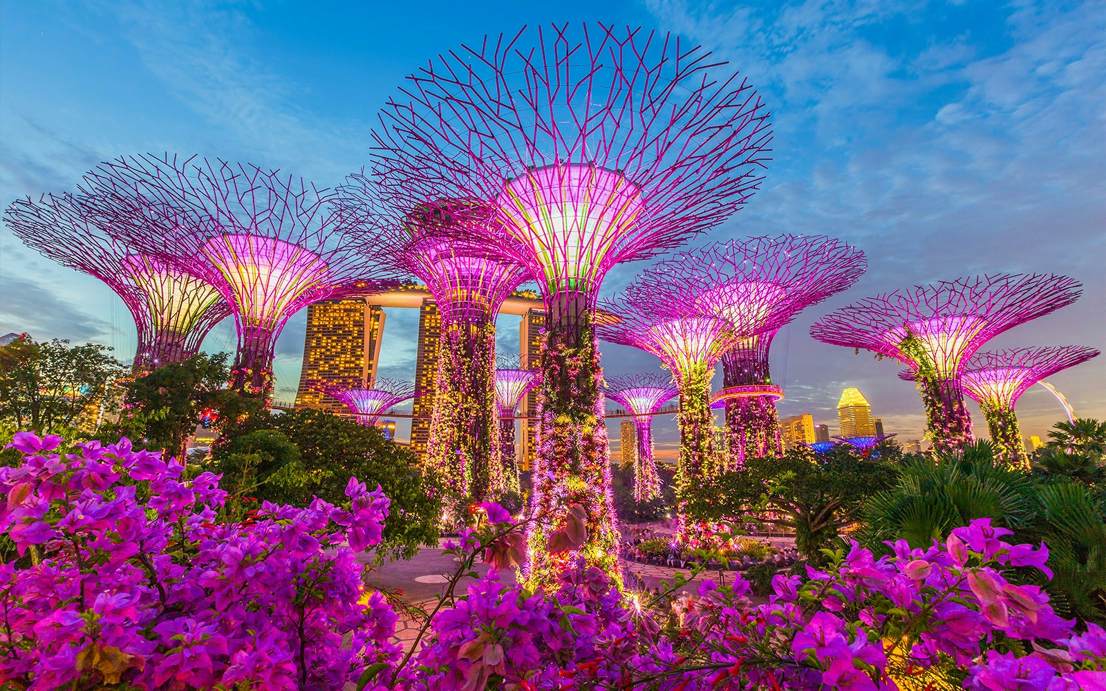 Gardens by the Bay Tickets