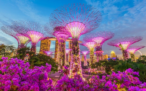 Gardens by the Bay Supertree Grove illuminated at night, Singapore.