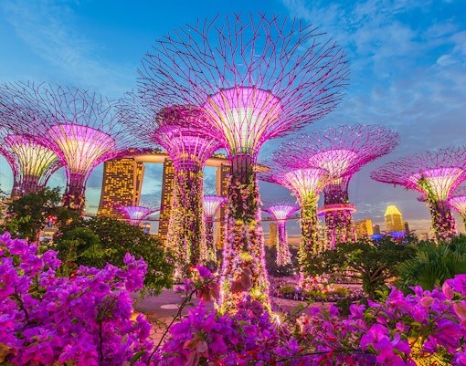 Gardens by the Bay Supertree Grove illuminated at night, Singapore.