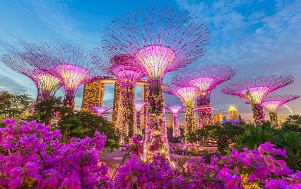Gardens by the Bay Supertree Grove illuminated at night, Singapore.