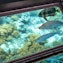 Choice of either a glass-bottom boat trip or snorkeling gear