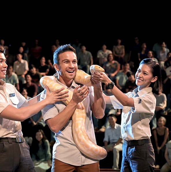 Watch the Creatures of the Night show at Night Safari Singapore